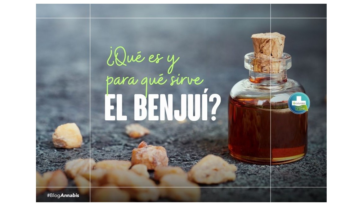 ¿Qué es y para qué sirve el Benjuí?